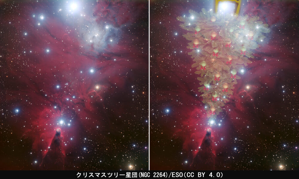 クリスマスツリー星団（NGC2264）